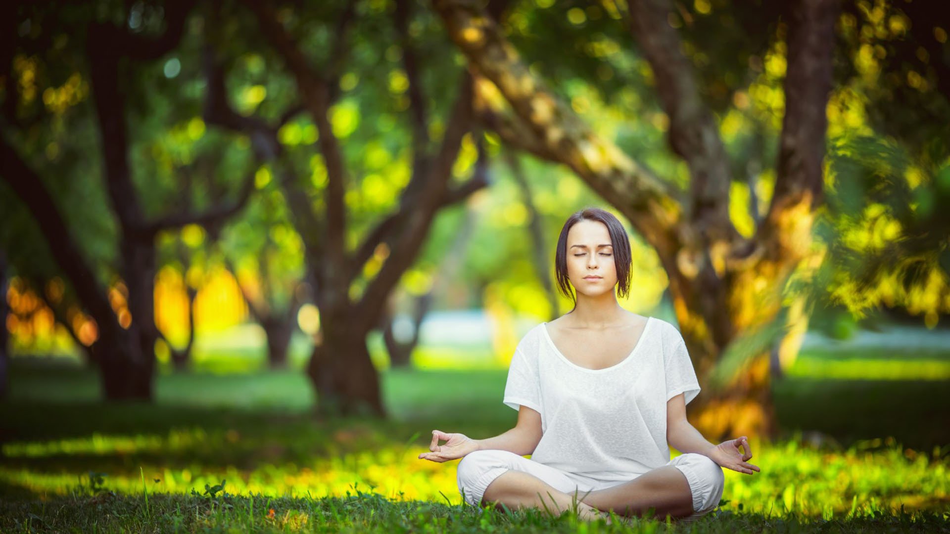 【投手争霸】DeGrom与Nola的投球技术全面解读,onemontion投篮